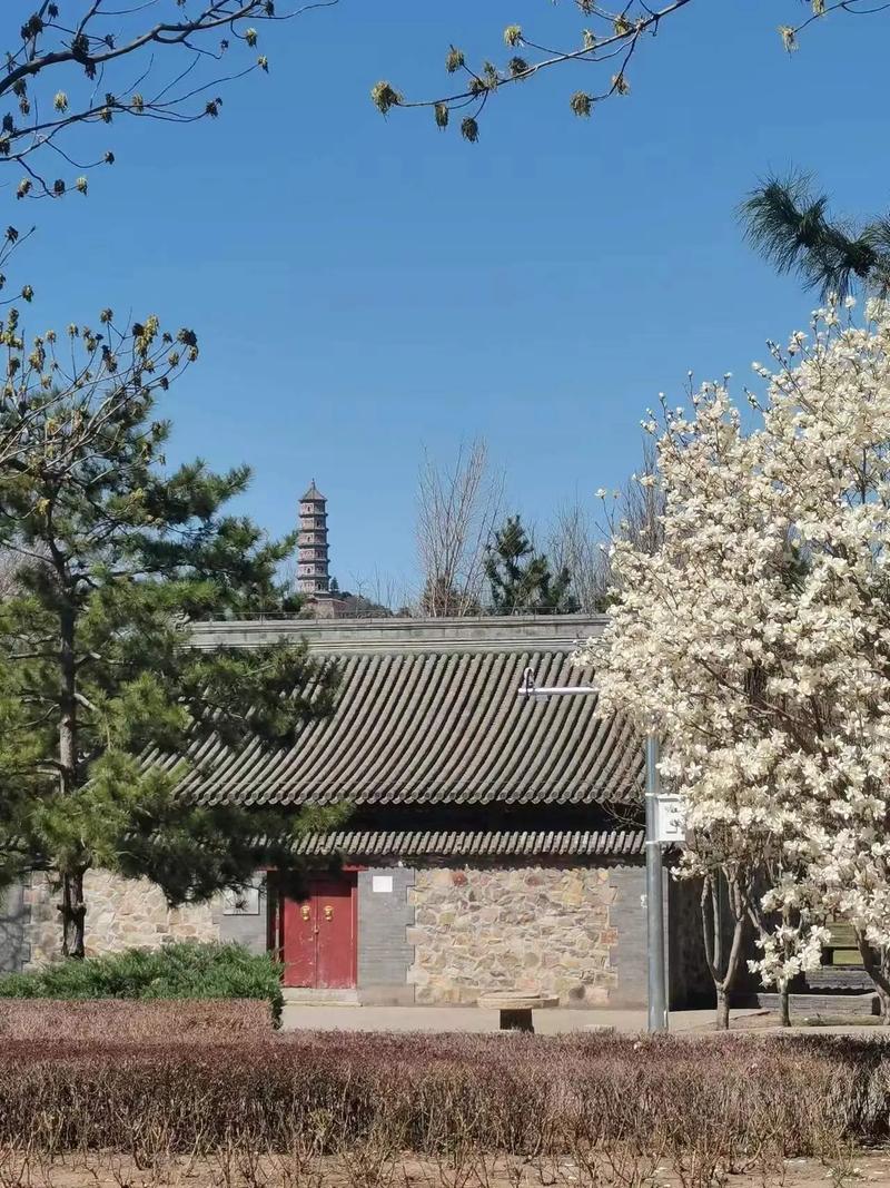 中国最神秘的政治“后花园”玉泉山