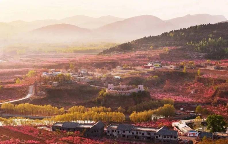 免门票，360度全景俯瞰，肥城桃花季3月28日—4月20日举办