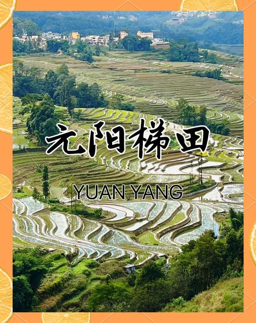 “与辉同行云南行”走进元阳探寻千年农耕文明