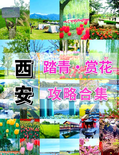 陕西清明假期出游预测：赏花游火爆，西安市井地标成热点
