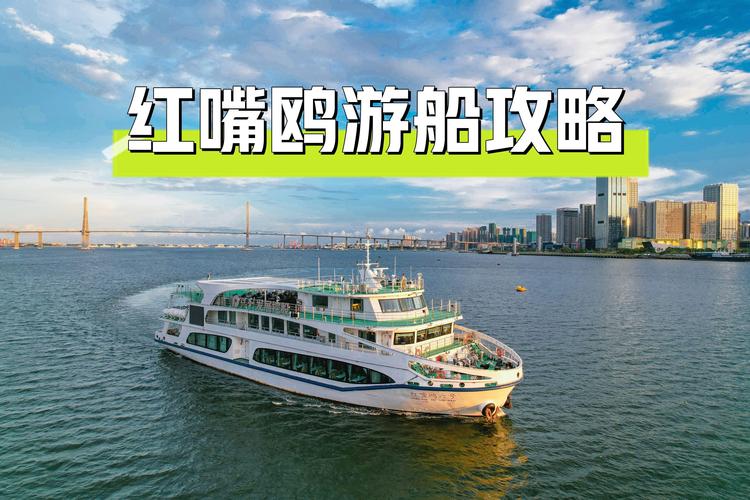 广东湛江～乘坐红嘴鸥游船，领略湛江海岸风光