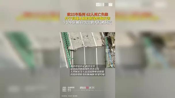 丹宁高速水阳段桥梁垮塌灾害调查评估报告公布