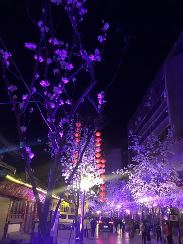 第137页