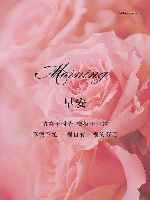 今日文案｜元气满满的早安