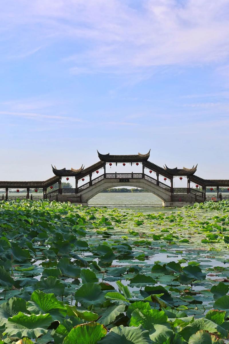 “梦回水乡，印象锦溪”视频记录美好瞬间#印象锦溪(合集完)
