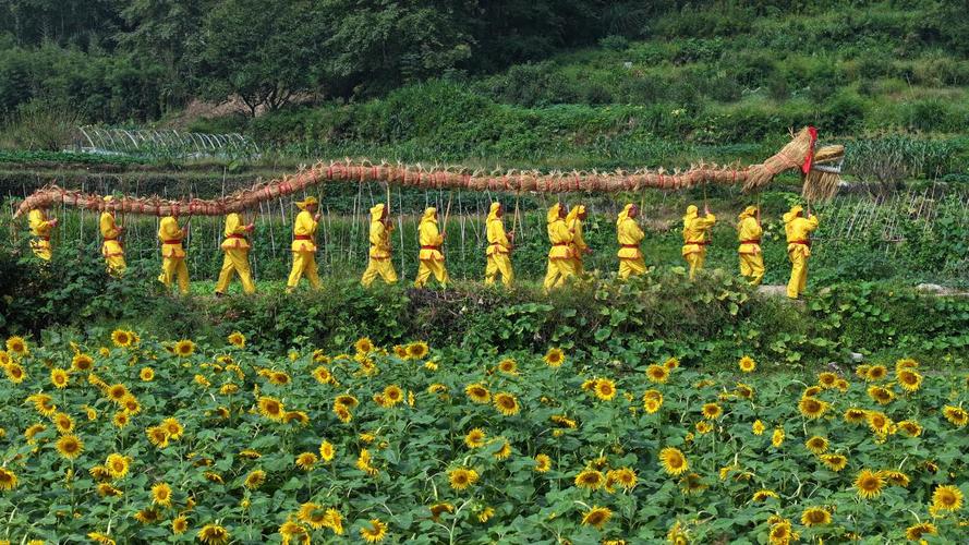 草龙在桃花花海中起舞，本周日