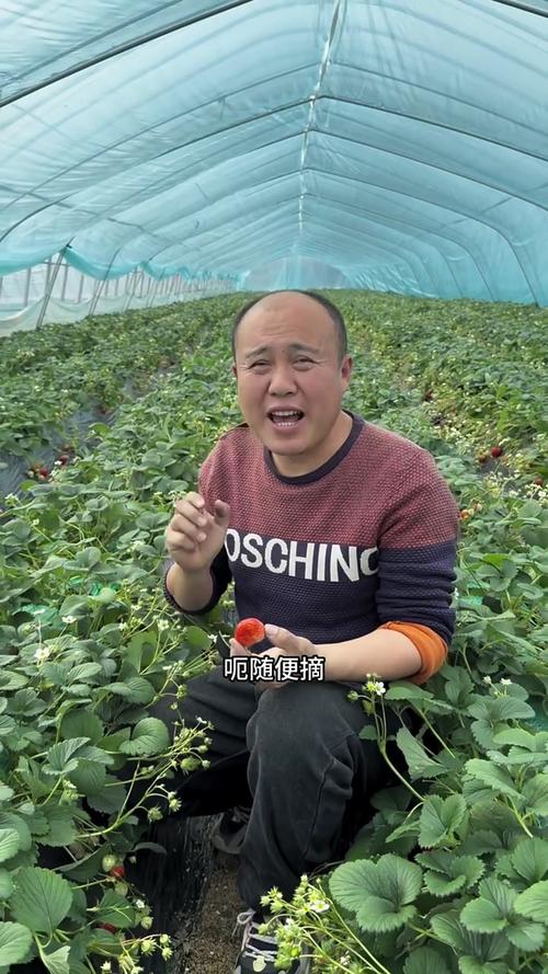 热点 第37页