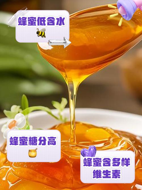 美食 第26页