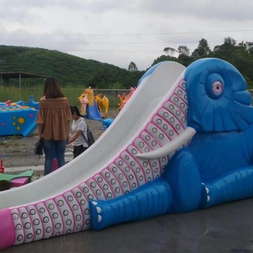 水上乐园明日开园！呆萌动物、刺激游乐设备等你来