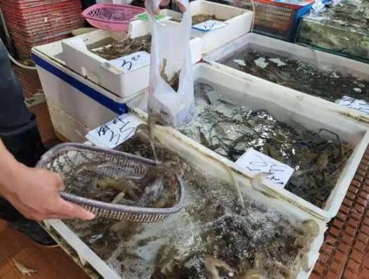 买大虾时，小心买到“激素虾”这四种尽量别买，为了健康要牢记