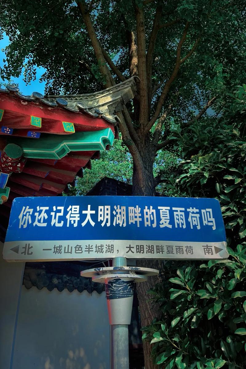 大明湖畔夏雨荷