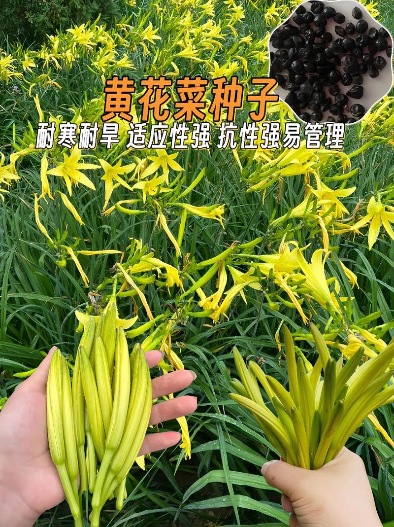 2025年3月 第2页
