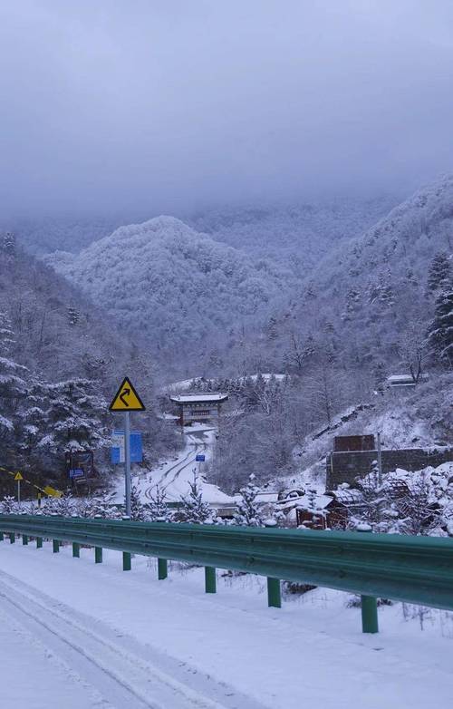 实拍！汉中多地迎来降雪！