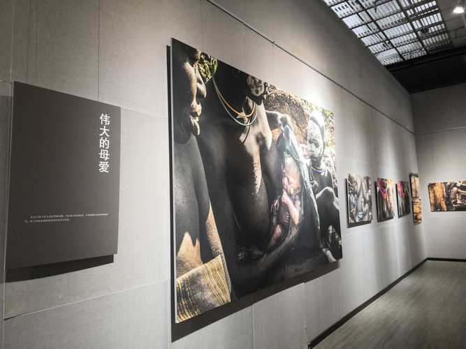 在文化里生长，热爱永不落幕—文化馆