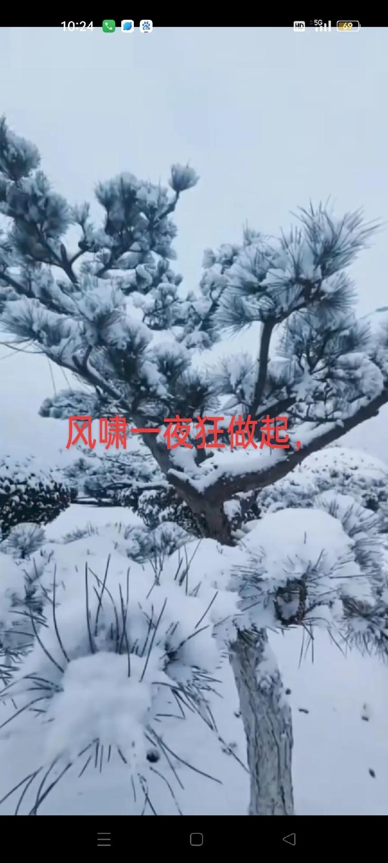 2025年4月1日