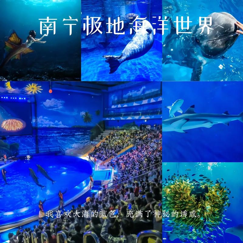在玉林也有海洋世界了，拍照打卡很出片#广西三月三有多好玩