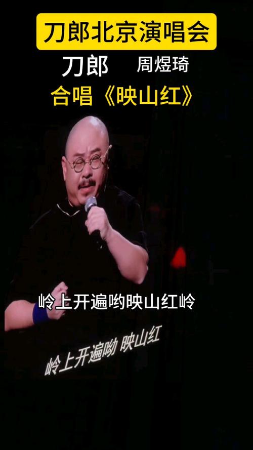 #刀郎武汉演唱会 刀郎的“山歌”一响，武汉漫山的映山红就开了
