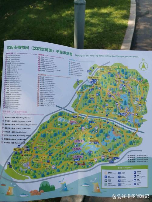 六安杜鹃花赏花地图及花期预报公布