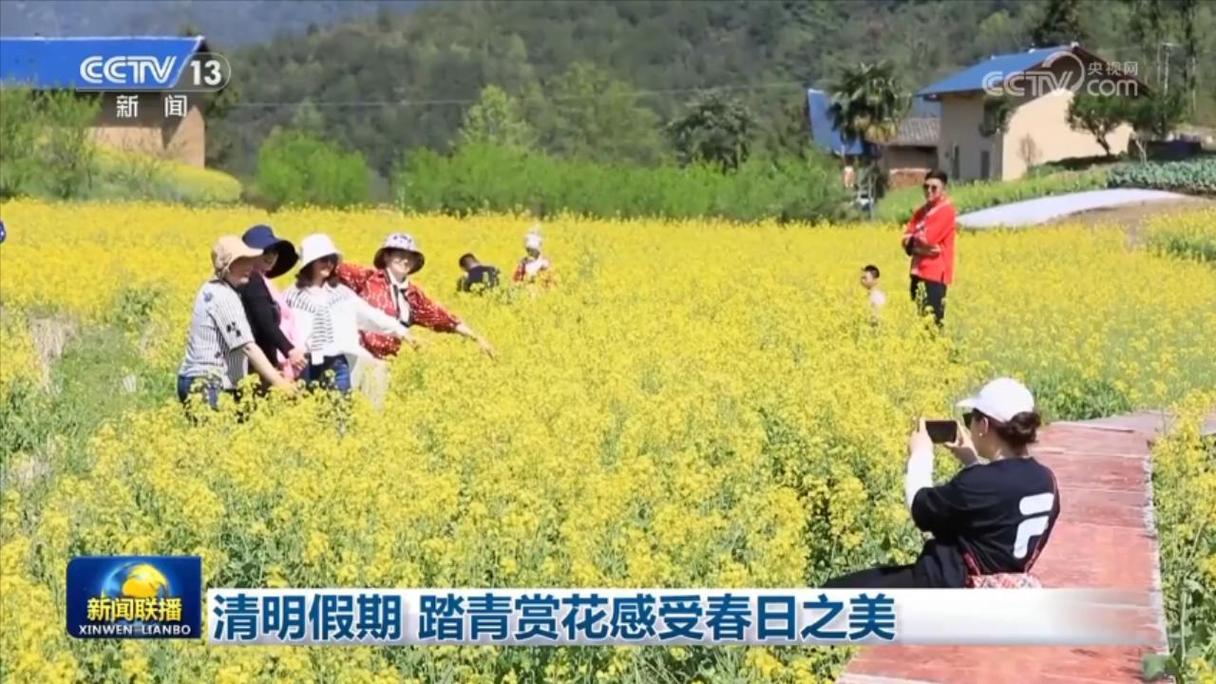 赏花、踏青、祭扫…清明假期多地迎中短途自驾出行高峰