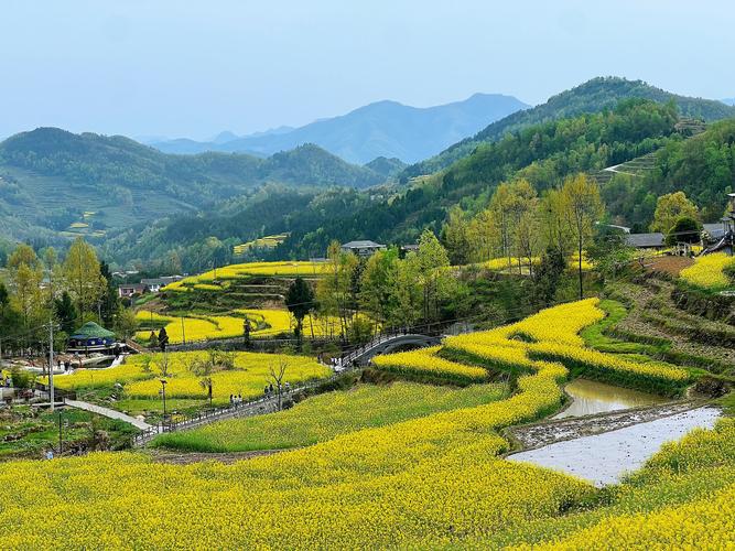 2025年4月5日