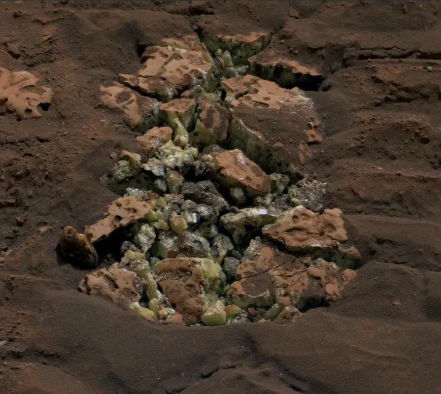 火星上的生物被美国宇航局的火星车发现了！