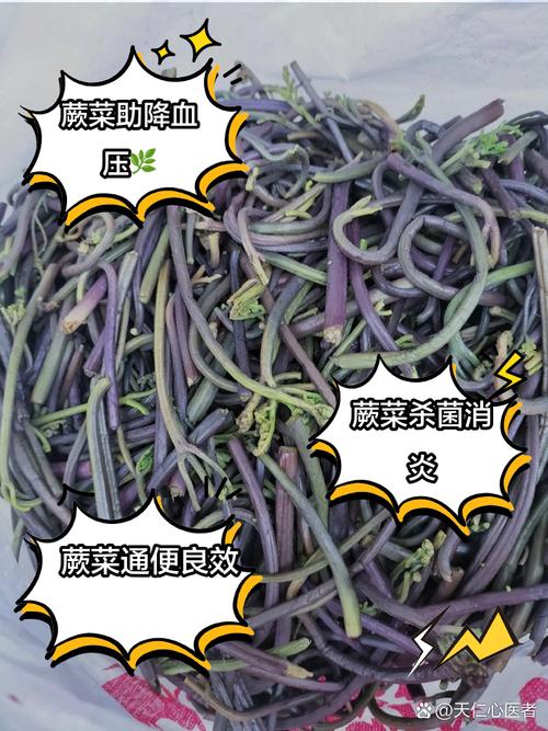 原来蕨菜花还有这作用，总是解决了我的烦恼，比花钱管用