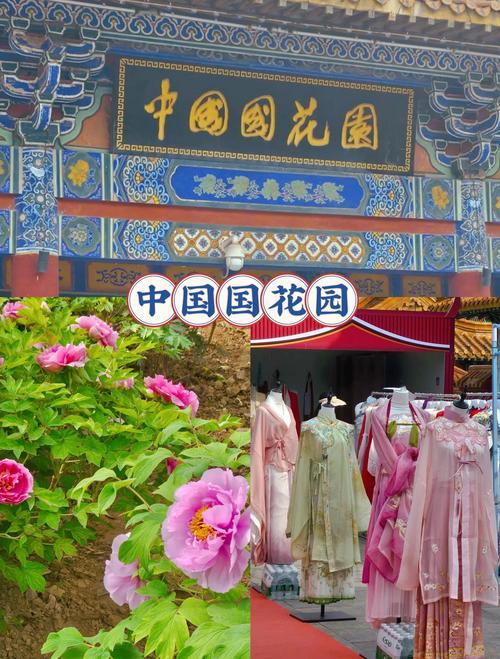 四川客家海外联谊会，打卡洛阳牡丹文化节，参观了好多景点