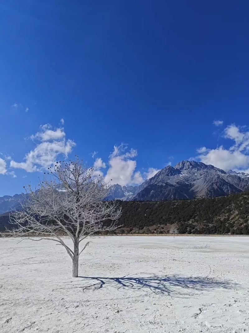 去大自然中寻找人生答案，玉龙雪山脚下8小时徒步干河坝山脊线