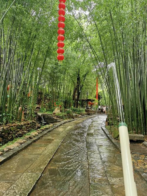 “山东邂逅美”摄影大赛｜春访竹泉村