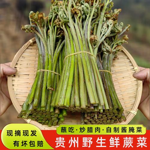 今天挖了很多野菜，配着腊肉太好吃了