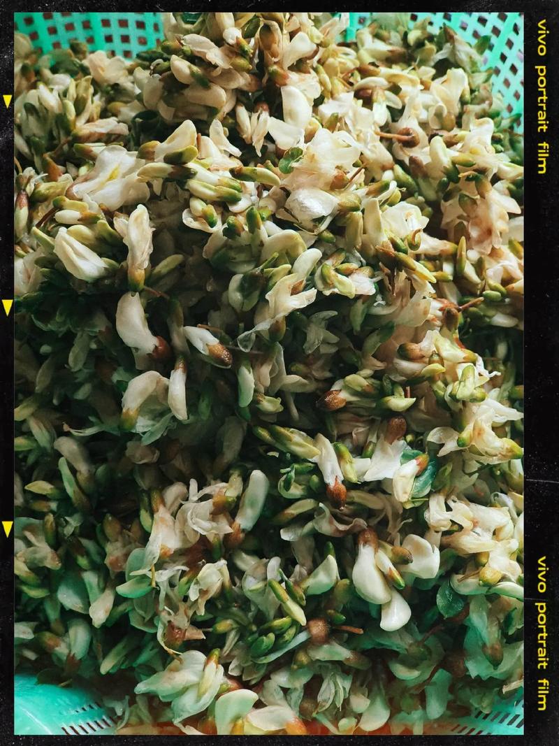 洋槐花味道虽美 但四类人群食用需谨慎
