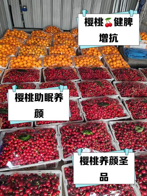 贞丰三岔河午餐，餐前水果竟然是30元/斤的樱桃，太喜欢了
