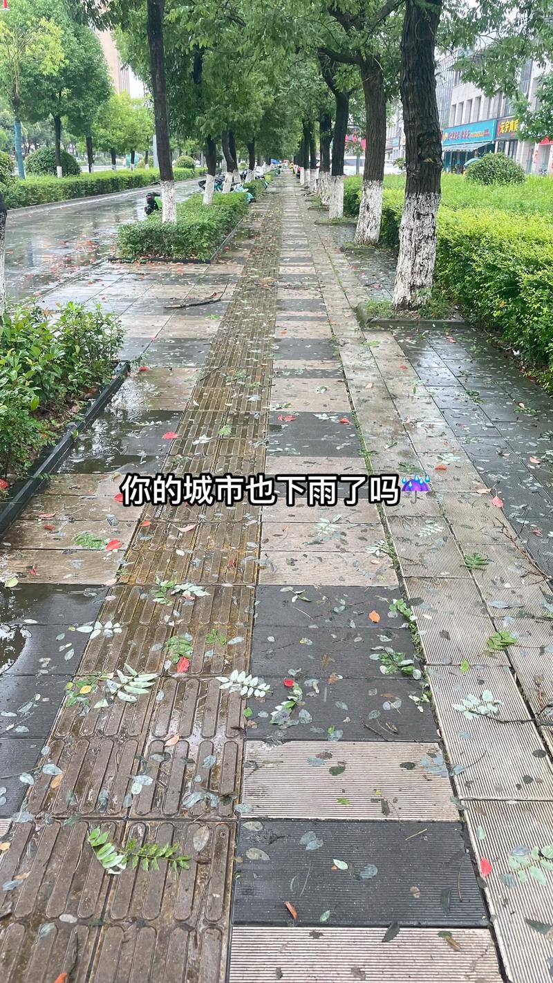 你们在哪个城市？我去找你们给我一个能挡风挡雨的地方就行了
