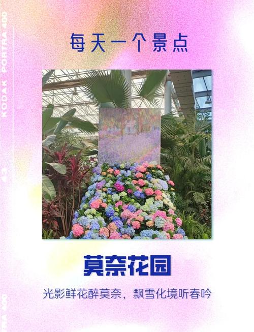 把春天玩出花儿！谷雨节气打卡海淀“莫奈花园”