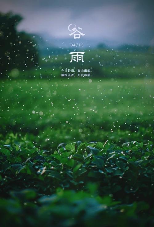 谷雨辞春？点”一盏茶，留住流淌千年的春色