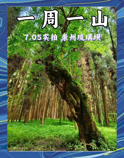 2025年4月21日