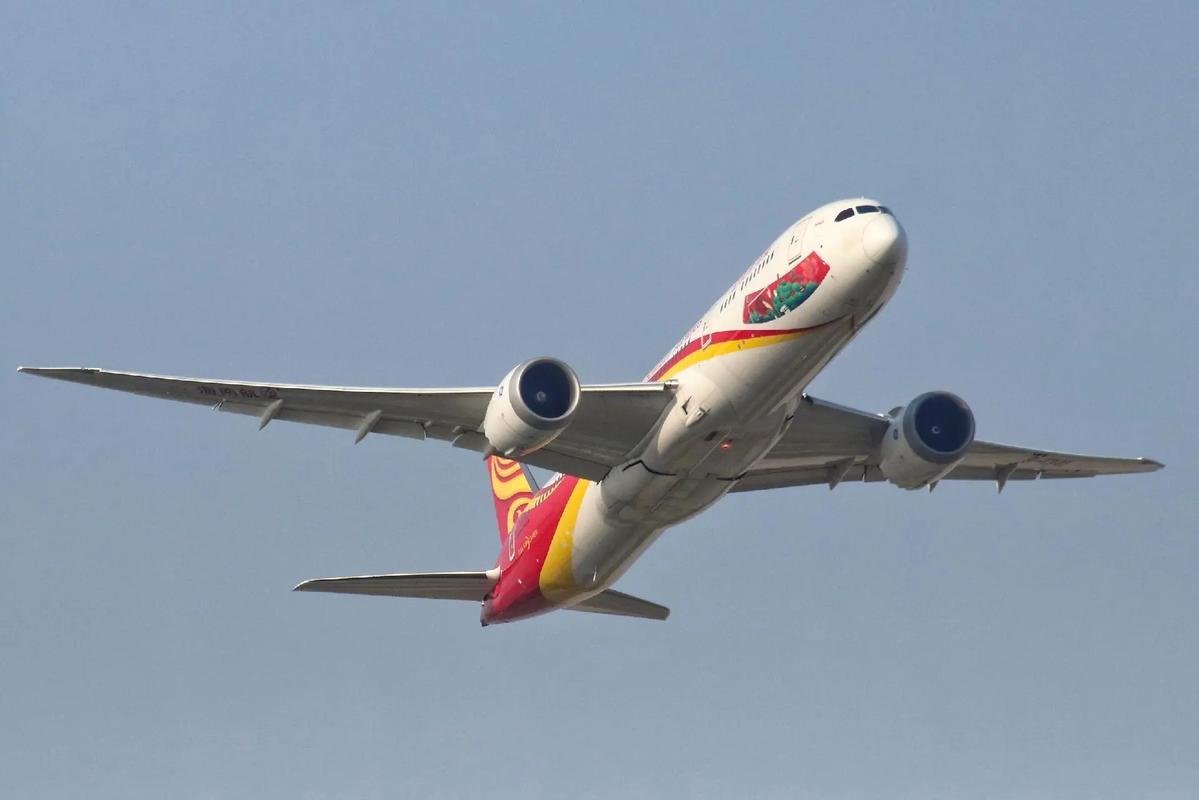 海南航空“海口号”飞机起降过程，惊艳彩绘机身！