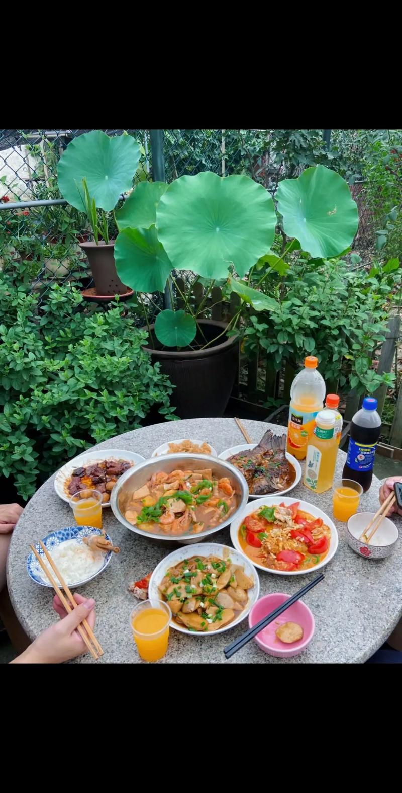 美食 第8页
