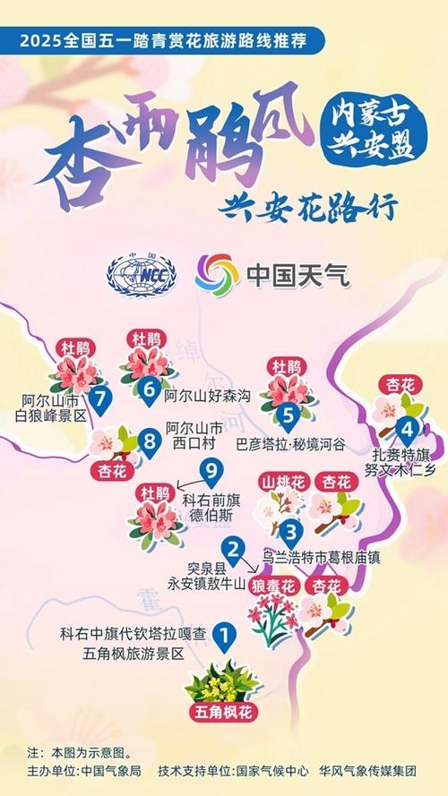 2025年全国“五一”文旅消费周活动：12条踏青赏花路线之北国迎春篇
