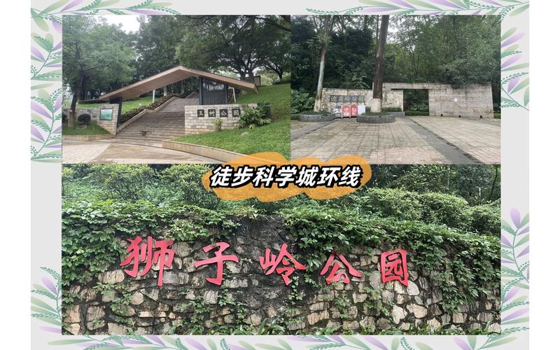“活力黄埔，悦动全运”主题徒步活动举行，尽享绿美黄埔