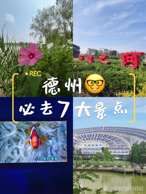 五一假期限定！德州旅游打卡新地标来啦→