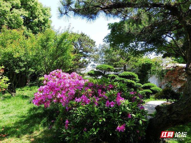 热点 第4页