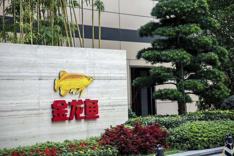 昔日“油茅”越赚越少，金龙鱼要靠副业东山再起？品牌观察