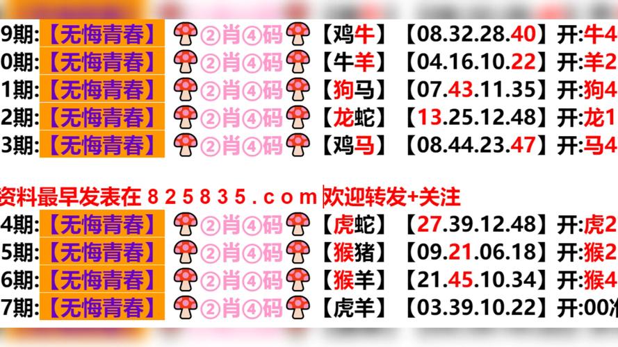 2024澳门资料大全正版资料免费-全面释义、专家解释与落实与警惕虚假宣传