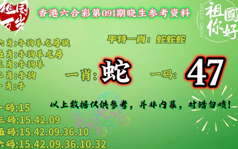 澳门一肖一码100%精准准确?全面释义、专家解释与落实与警惕虚假宣传