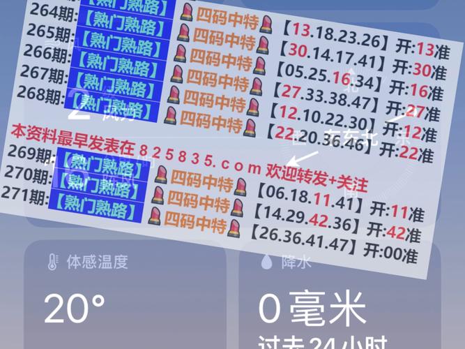 2024新奥历史开奖记录查询-全面释义、专家解释与落实与警惕虚假宣传