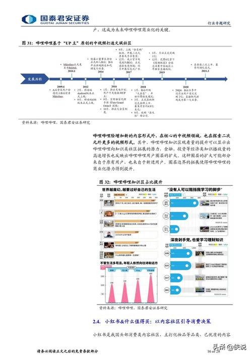 新澳门开奖记录查询表,精选释义、解释与落实与警惕虚假宣传