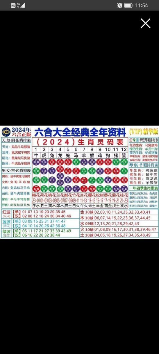 澳门今晚必中一肖一码准确9995'精选释义、解释与落实与警惕虚假宣传