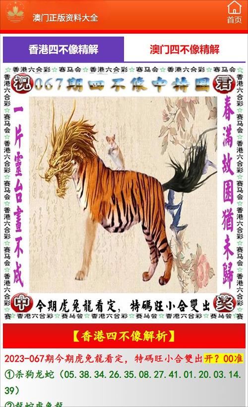 2024澳门资料大全免费完整版四不像与新澳门开奖结果记录历史全面释义、解释与落实与警惕虚假宣传
