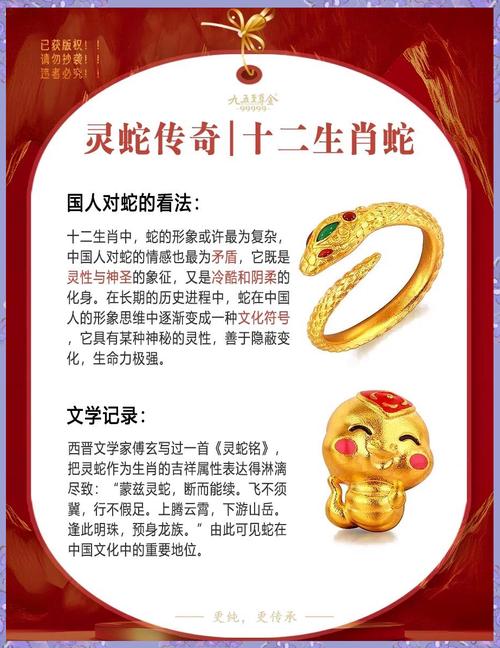 香港2024正版免费资料属蛇号码,精选释义、解释与落实与警惕虚假宣传